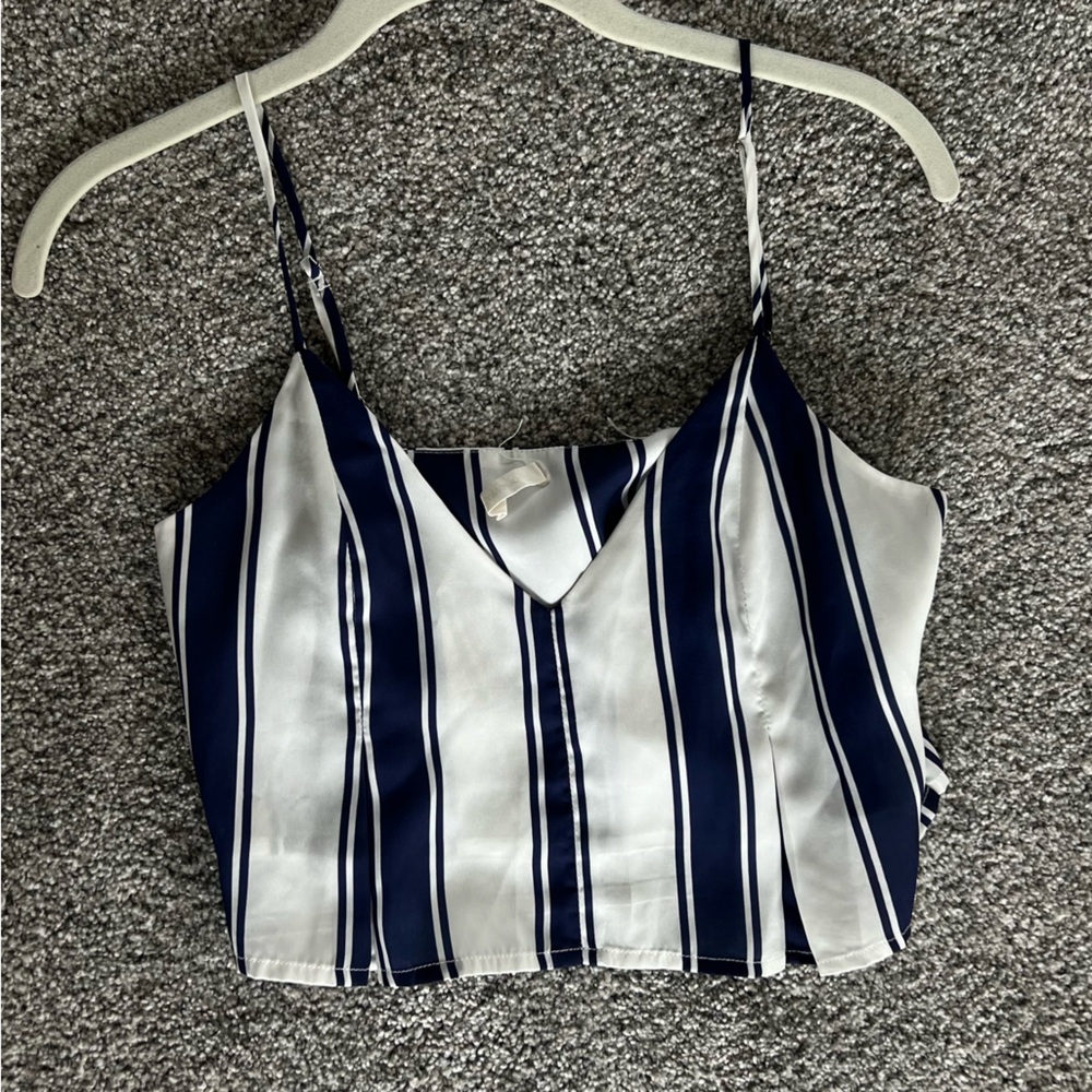 Capulet LG silky crop top